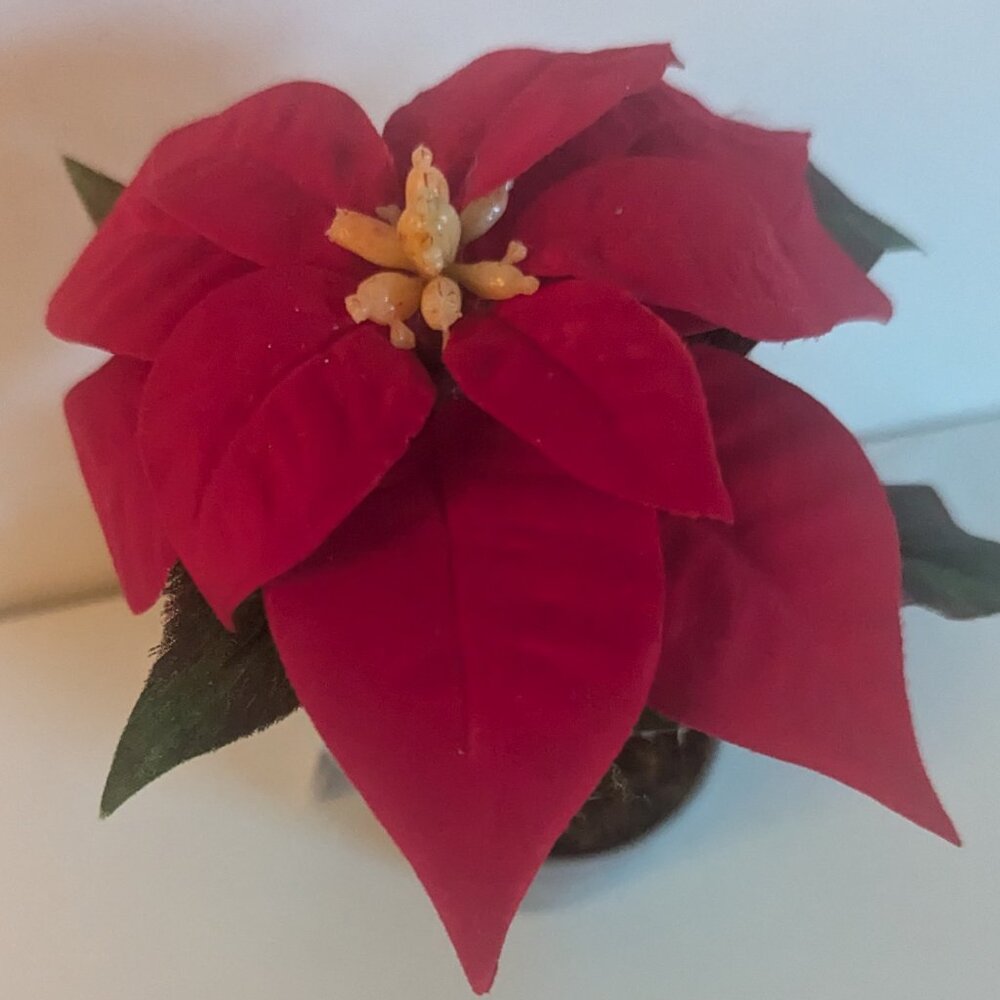 NWT Mini Red Potted Poinsettia Flower Christmas Holiday Ashland Home Decor Gift